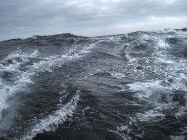 surfen de golven af