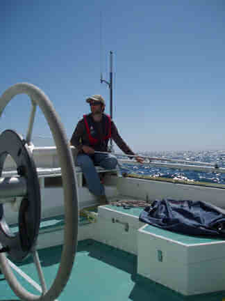 Stuurwiel of helmstok